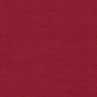 Kasmir BURKE            CANDY APPLE     